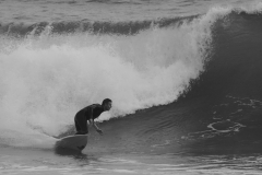 P1380869 crop