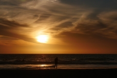 1333 Trigg Beach P1270865 crop