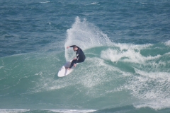 P1490299 crop