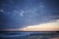 P1420881 crop