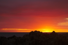 P1430090 crop