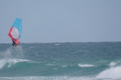 P1530929 crop