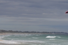 P1410884 crop