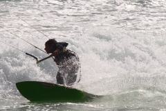 P1420122 crop