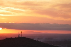 _1500864 crop 1366