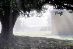 _1500907 crop 1366