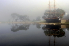 _1500932 crop 1440