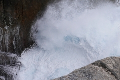 _1510356 crop 1366