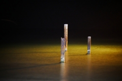 P1460024 crop 1366