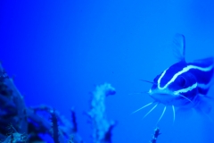 P1760372crop