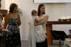 P1460547 crop 1366