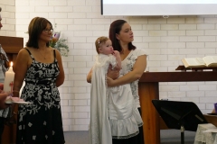 P1460555 crop 1366
