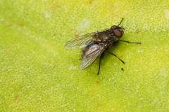 P1820663 crop