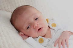 BI294-3492 crop brightness small