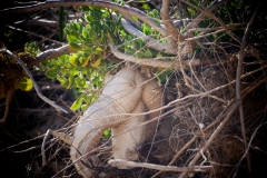 P1860644 crop scale