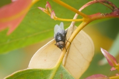P1860263 crop scale