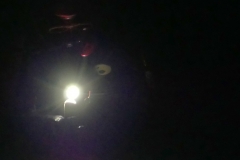 P1420337 crop 1366