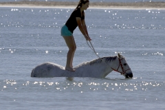 _1350520 crop 1440