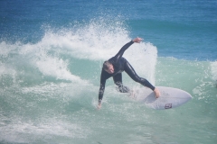 P1730428 crop small