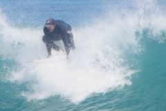 P1740425 crop small