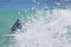 P1740571 crop small