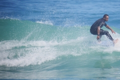 P1730978 crop small