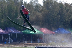 P1300790 crop 1366