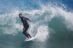 P1750709 crop