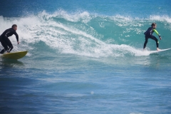 P1760038 crop