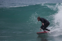 P1780391 crop