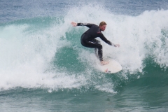 P1780521 crop