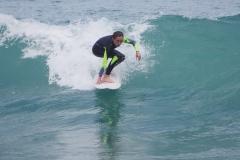 P1780415 crop