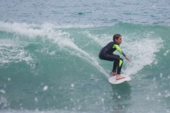 P1780421 crop