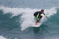 P1780439 crop