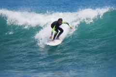 P1780787 crop