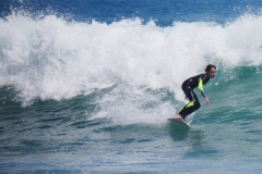 P1780789 crop