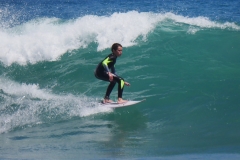 P1780791 crop