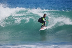 P1780793 crop