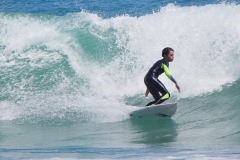 P1780795 crop