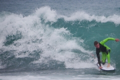 P1780259 crop