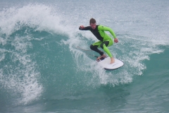 P1780313 crop