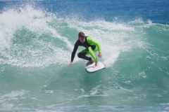 P1780705 crop