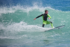 P1780709 crop