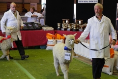 P1790996 crop
