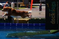P1800156 crop