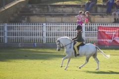 P1800871 crop
