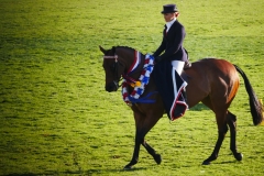 P1800907 crop