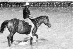 horse beach small