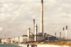 horse factory