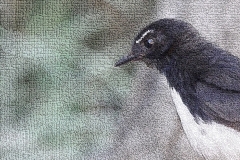 willy wag tail small